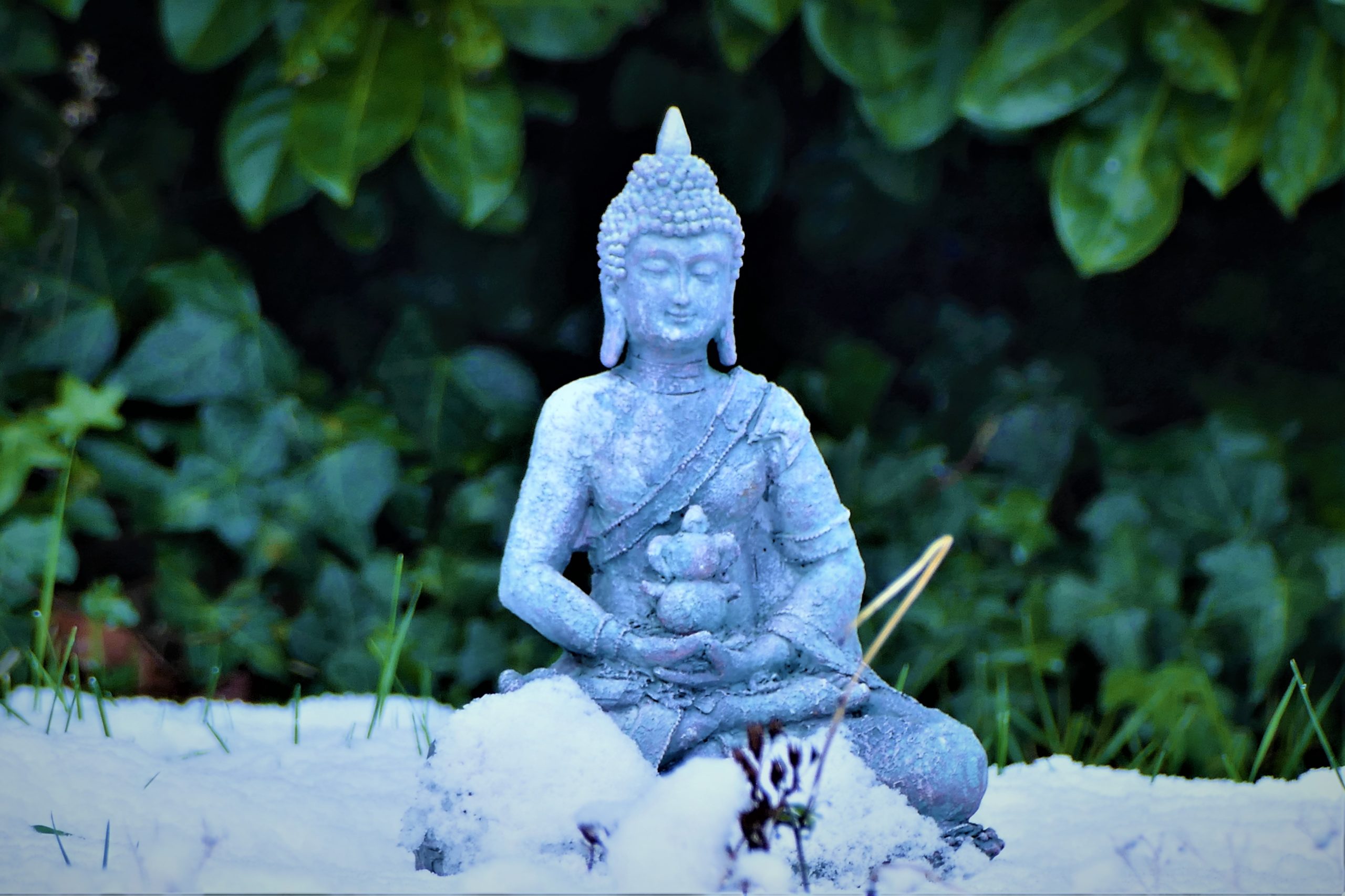 statue-sculpture-buddha-stockpack-pixabay statue, sculpture, buddha