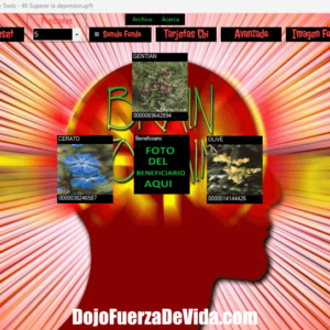 bienestar,Plantillas Premium Paz y Abre Caminos,superar ansiedad,superar estrés,superar bloqueos,potencial ilimitado,paz interior,éxito,prosperidad,autoconfianza,armonizar relaciones,transformación,autorealización,desatar potencial
