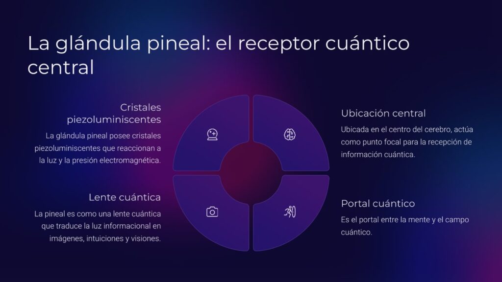 universo holográfico,curso online conciencia,física cuántica y espiritualidad,despertar espiritual,mente cuántica,simulación holográfica,glándula pineal,realidad cuántica,codificación del universo,cursos metafísicos,holografía del cosmos,curso mente cuántica,manifestación cuántica,código de la realidad,alquimia espiritual,consciencia superior