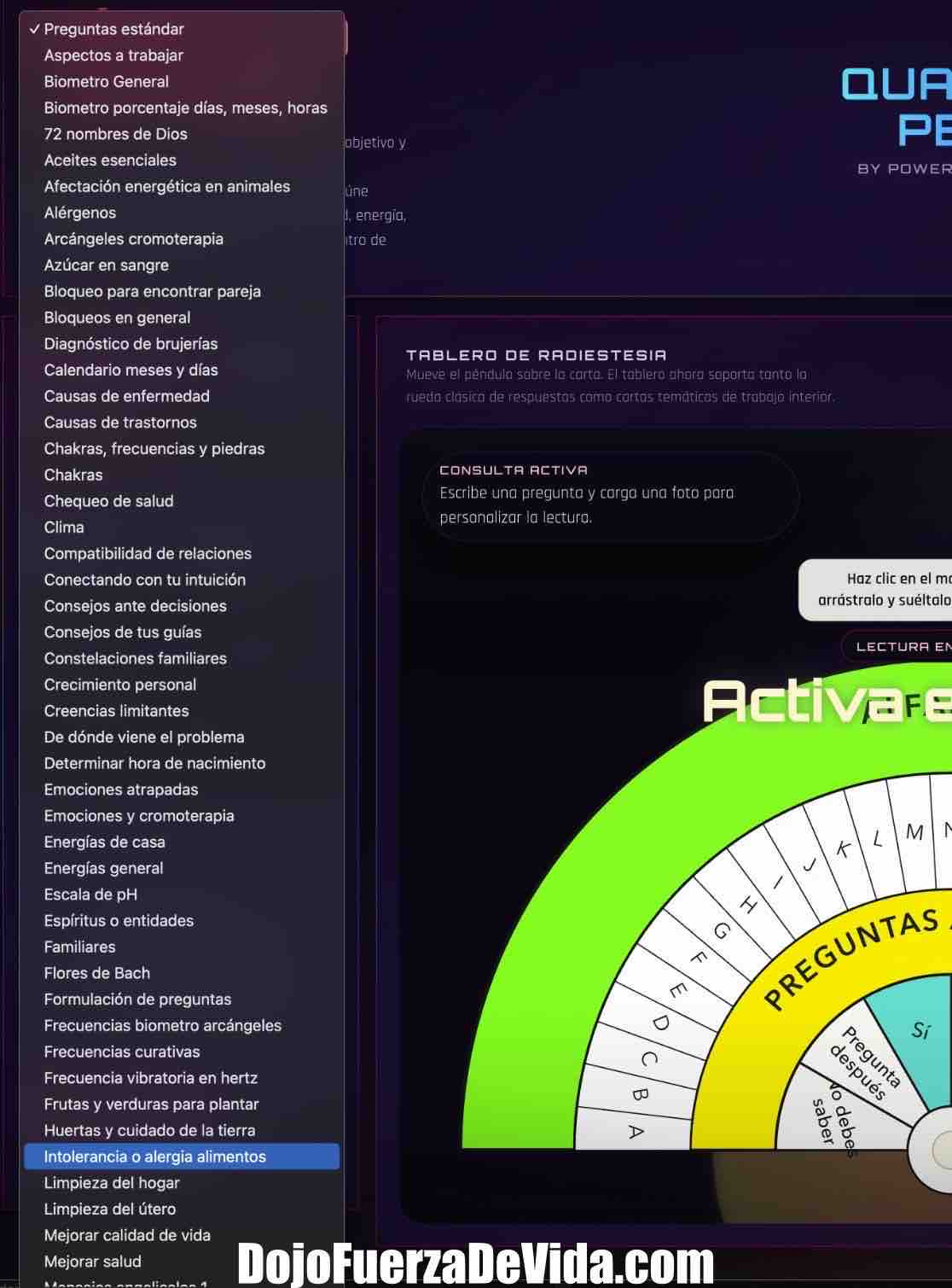 radiestesia digital,quantum radionics,péndulo virtual,software de radiestesia,péndulo toolz,péndulo hebreo digital,sanación energética,72 nombres de dios,biómetro de bovis,chakras,terapias holísticas,oráculo digital,radiónica windows,flores de bach,limpieza energética,péndulo para pc