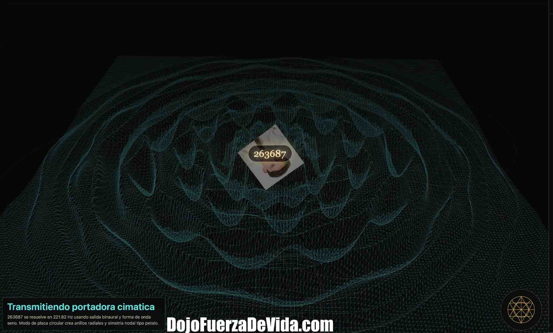programa radiónico holo transmisor de cimática