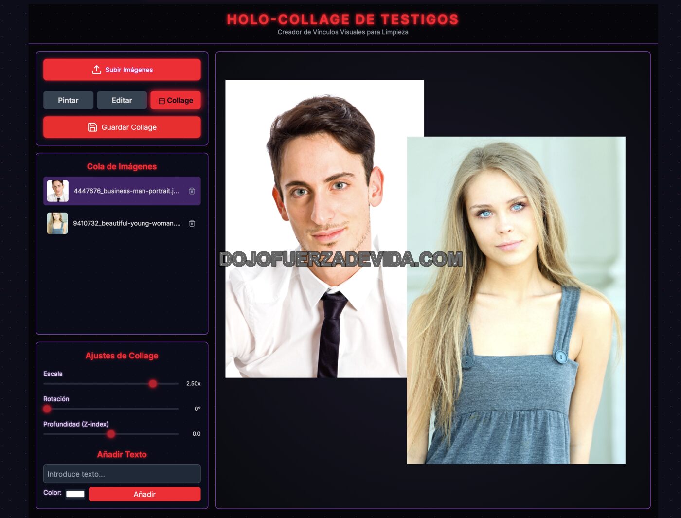 Editor Holo-Collage de Cleansing Toolz